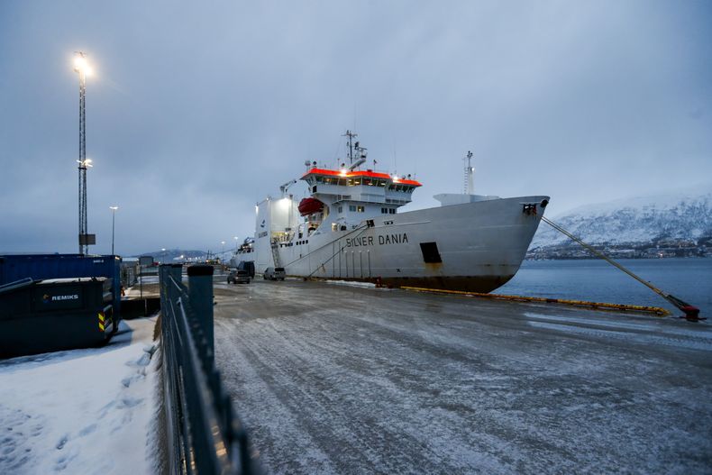 El barco Silver Dania, de propiedad noruega y tripulación rusa y que las autoridades sospechan estaría involucrado en daños a un cable de fibra óptica submarino en el mar Báltico, es llevado al puerto de Tromsø, Noruega, para ser investigado, el viernes.31 de enero de 2025. (Rune Stoltz Bertinussen/NTB Scanpix vía AP)