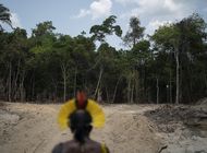 deforestacion en amazonia brasilena rompe records para abril