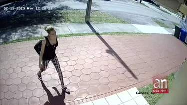 captada en camara mujer que robo un paquete de amazon de la puerta de una casa en el nw de miami