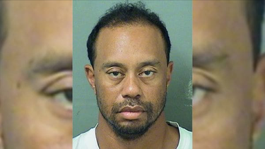 al parecer el alcohol no era causa del arresto  a tiger woods en florida