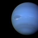 En esta imagen de agosto de 1989, proporcionada por la NASA, se muestra al planeta Neptuno fotografiado por la nave Voyager 2, y fue procesada para mejorar la visibilidad de pequeñas características. (NASA vía AP)