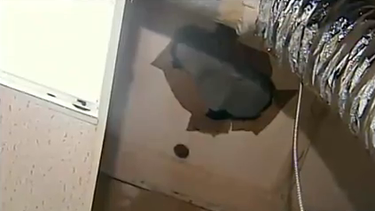 Continúan las investigaciones sobre Robo en Bodega de la Pequeña Habana.