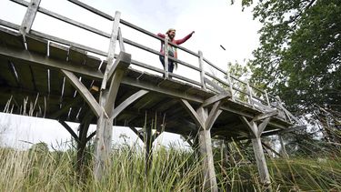 Puente de Winnie Pooh será subastado