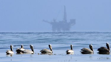 Trump incrementará la extracción petrolera en el mar