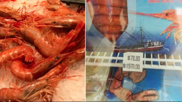 se hace viral en las redes sociales el escandaloso precio de dos kilos de camarones  en cuba