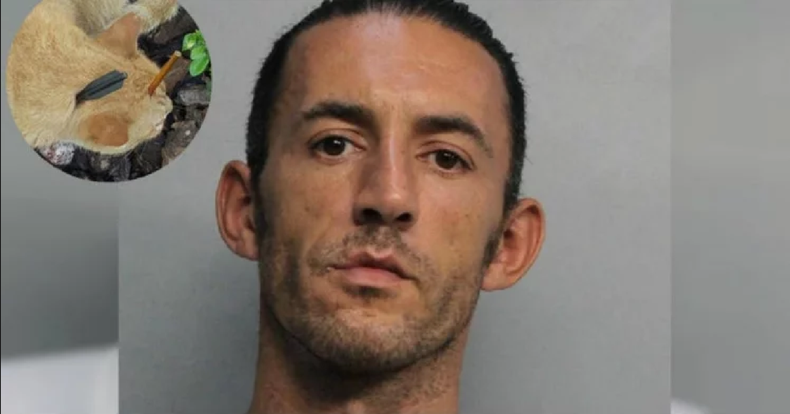 Screen Shot 2017-07-05 at 6.45.29 PM.png