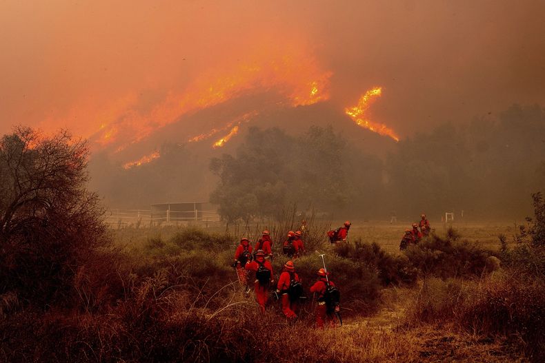 El incendio Mountain cerca de Moorpark, California, el 7 de noviembre del 2024. (AP foto/Noah Berger)