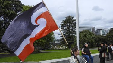 Un manifestante contra la Iniciativa de Ley de los Principios del Tratado se sienta frente al Parlamento en Wellington, Nueva Zelanda, jueves 14 de noviembre de 2024. (Foto AP/Charlotte Graham-McLay)