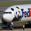 Trabajadores caminan hacia un avión de carga de FedEx que lleva pandas gigantes a bordo de China tras aterrizar en el Aeropuerto Internacional Dulles, en Sterling, Virginia, el martes 15 de octubre de 2024. (AP Foto/Kevin Wolf)