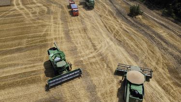 onu: la guerra perjudicara a naciones que importan cereales