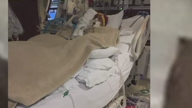padre de joven cubana con leucemia pide reunirse con sus familiares allegados
