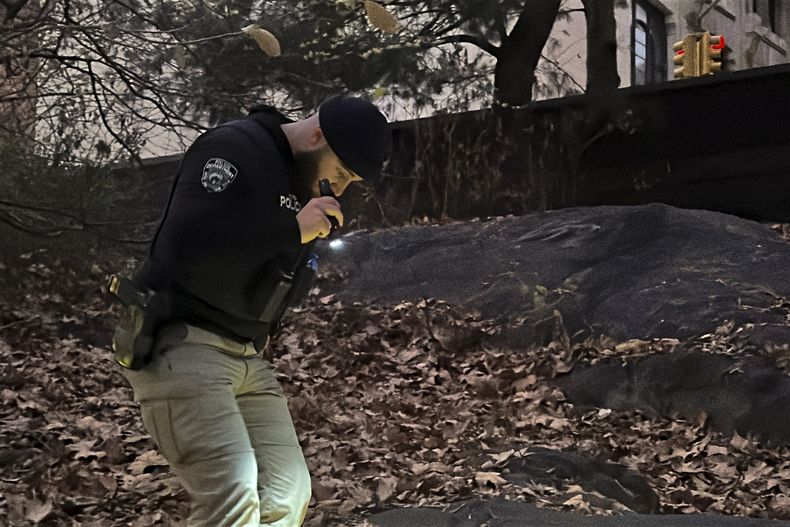 Un agente de la policía de Nueva York camina entre los arbustos y las hojas secas en Central Park, cerca de la calle 64 y Central Park West, el 6 de diciembre de 2024, en Nueva York, dentro del operativo para dar con la mochila que, según la policía, fue arrojada en el parque por la persona sospechosa de asesinar al director general de UnitedHealthcare, Brian Thompson, el 4 de diciembre. (AP Foto/Ted Shaffrey)