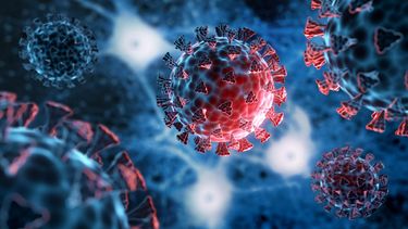 la comunidad cientifica se mantiene alerta ante la posibilidad de aumento de casos de covid-19