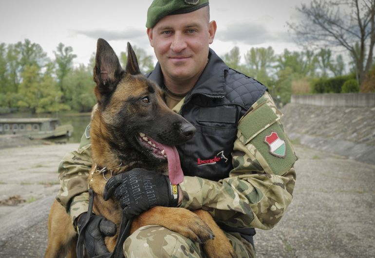 Ejército húngaro le encuentra misión a un perro maltratado