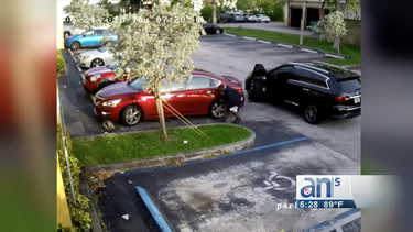 captado en camara como un hombre roba la cartera de una mujer rompiendo la ventanilla