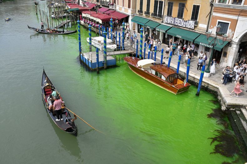 Una góndola navega por el histórico Gran Canal de Venecia, manchado por un líquido verde, el domingo 28 de mayo de 2023. La policía investiga la fuente de dicho líquido. (Foto AP/Luigi Costantini)