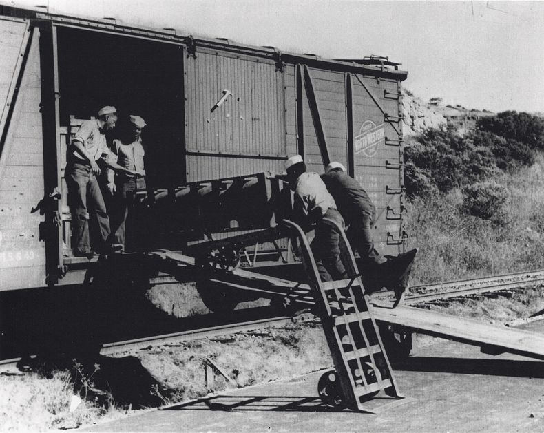 En esta foto suministrada por el Comando de Historia Naval de Estados Unidos, marineros afroestadounidenses sacan municiones de un vagón de tren, en 1943 o 1944, en Port Chicago, California. (Comando de Historia Naval de Estados Unidos/Servicio Nacional de Parques via AP)