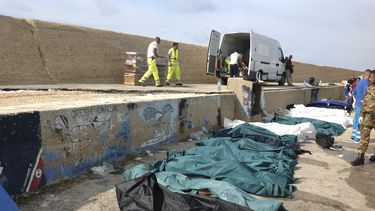 americateve | Los cad&aacute;veres de decenas de inmigrantes que murieron ahogados en un naufragio frente a la costa de Sicilia, son colocados en hilera en el puerto de Lampedusa el jueves 3 de octubre del 2013. Cerca de 100 personas murieron cuando un barco que llevab