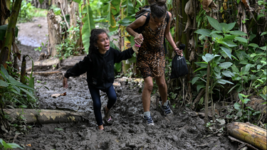 Crisis migratoria: 5.530 cubanos cruzaron la selva del Darién durante 2022