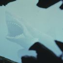 Esta imagen publicada por Peacock muestra una escena de Jaws. (Peacock/Universal Pictures via AP)