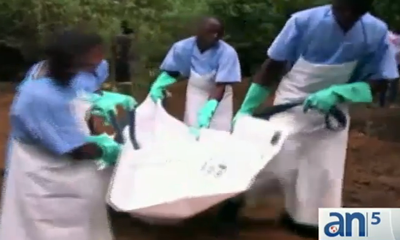 Los planes de emergencia en todos los países que temen que pueda convertirse en una pandemia mundial.