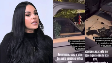 teresa padron, ex manager de el taiger, sufre vandalismo en miami y ofrece recompensa
