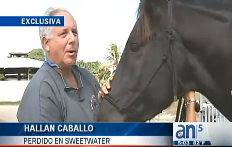 Reportaje exclusivo de América Noticias ayuda a dar con el caballo de la policía desaparecido en Sweetwater.