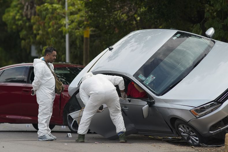 Médicos forenses trabajan el domingo 2 de julio de 2023 en Apatzingán, México, en el sitio donde un hombre no identificado fue asesinado. (AP Foto/Eduardo Verdugo)