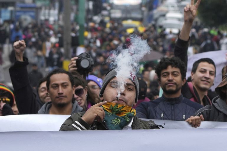 Ecuatorianos exigen en Quito despenalización de cannabis