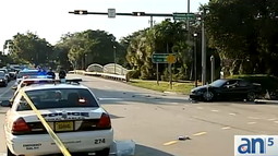 dramatica captura de ladrones despues de persecucion en coral gables