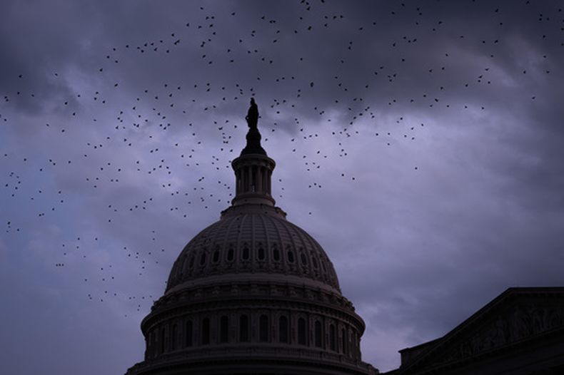 Una bandada de pájaros vuelan cerca del Capitolio de Estados Unidos, el 28 de julio de 2026, en Washington. (AP Foto/Allison Robbert)