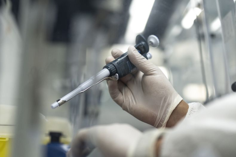 Un empleado trabaja en las instalaciones de Moldiag, una startup biotecnológica, en la producción de pruebas de viruela símica, en Tamesna, Marruecos, el jueves 28 de noviembre de 2024. (AP Foto/Mosaab Elshamy)