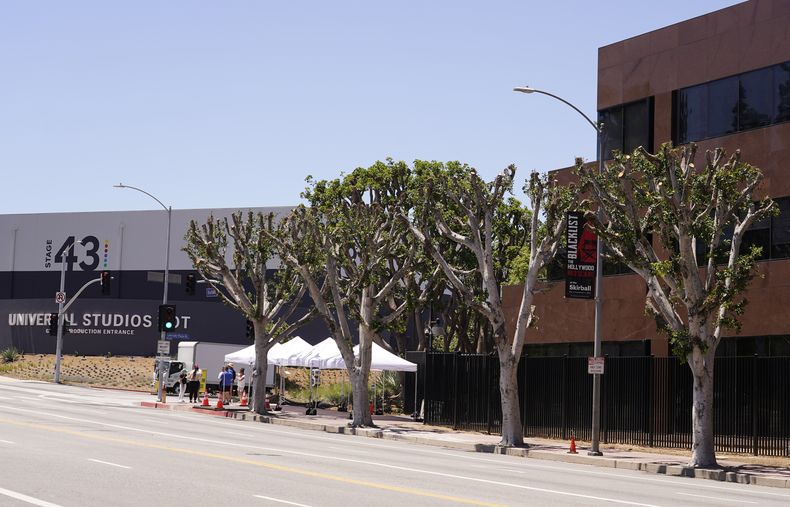 Árboles recién podados fuera de Universal Studios el miércoles 19 de julio de 2023 en Burbank, California. (Foto AP/Chris Pizzello)