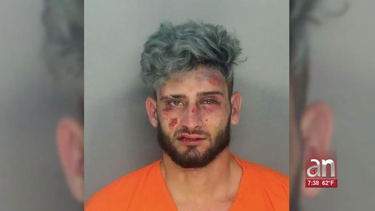 tras las rejas un cubano que estaba de visita en  miami por apunalar a un hombre y golpear a un anciano