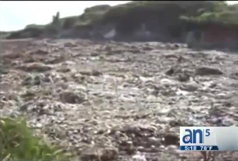 Un inmenso vertedero frente al Residencial de Tarara en La Habana está provocando cada vez más enfermedades respiratorias en los habitantes de la zona.