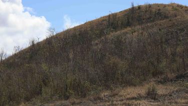 el dia se mantendra caluroso y bien seco