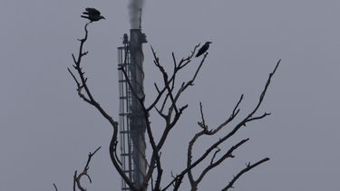 ONU: Estamos lejos de evitar calentamiento global