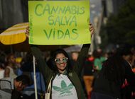 brasil autoriza cultivo de cannabis para uso medicinal