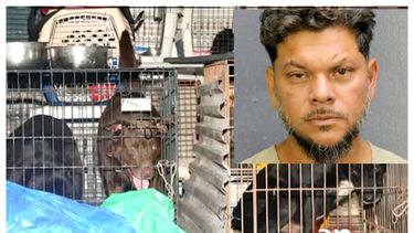 americateve | Hombres perros.jpg