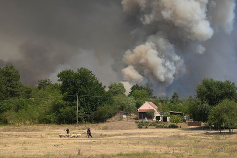 Una columna de humo, en un bosque durante un incendio en Deliblatska Pescara, cerca de la localidad de Sumarak, a 70 kms a noroeste de Belgrado, Serbia, el 7 de agosto de 2026. (AP Foto/Darko Vojinovic)