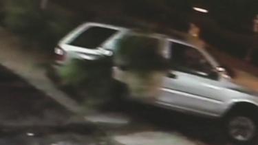 americateve | roban arecas.png