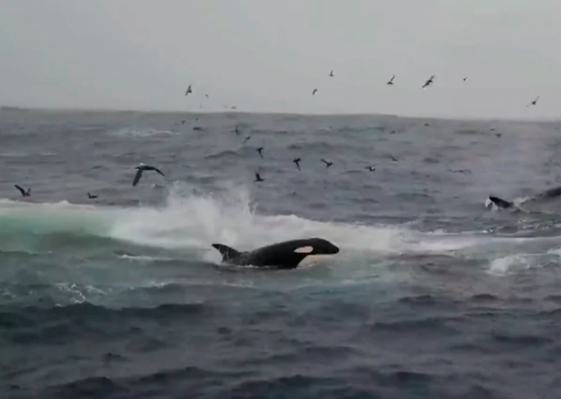 Captura de Pantalla 2022-01-31 a la(s) 7.27.14 p. m..png