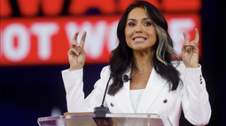 tulsi gabbard abandona el partido democrata: los llama cabala elitista