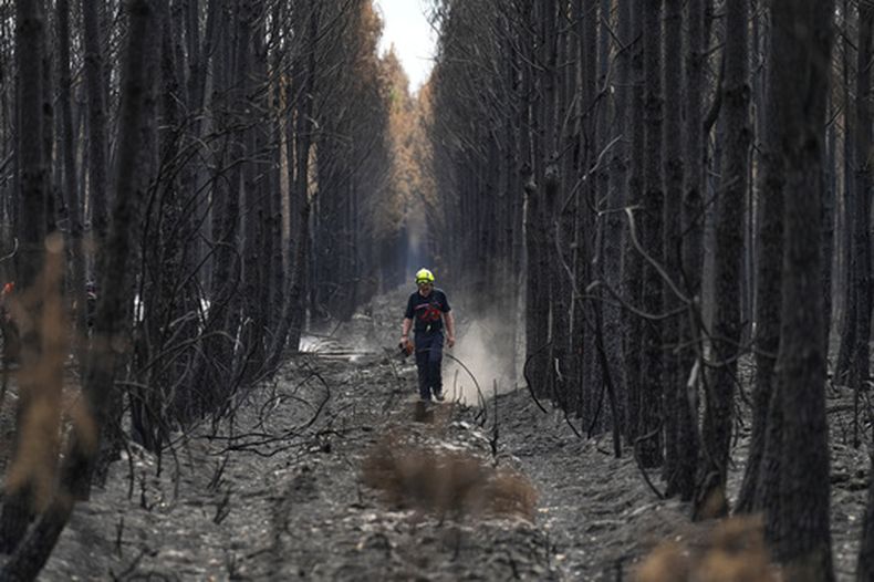 Un bombero camina por un bosque calcinado cerca de Blagon, durante incendios en el suroeste de Francia, el viernes 31 de julio de 2026. (AP Foto/Baz Ratner)