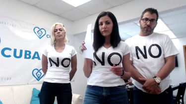 mas de dos millones de cubanos se opusieron a la nueva constitucion en cuba