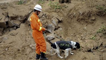 americateve | Un socorrista acompa&ntilde;a a un perro rastreador en busca de sobrevivientes de una explosi&oacute;n tras la ruptura de un oleoducto en la ciudad portuaria de Qingdao del este de China, el s&aacute;bado 23 de noviembre de 2013. Los rescatistas informaro