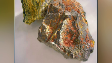 alimentos con arsenico