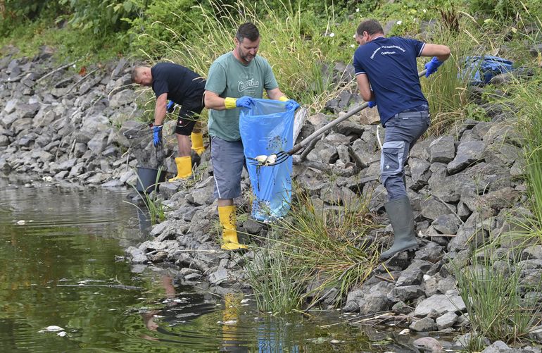 Analizan muerte masiva de peces en río germano-polaco