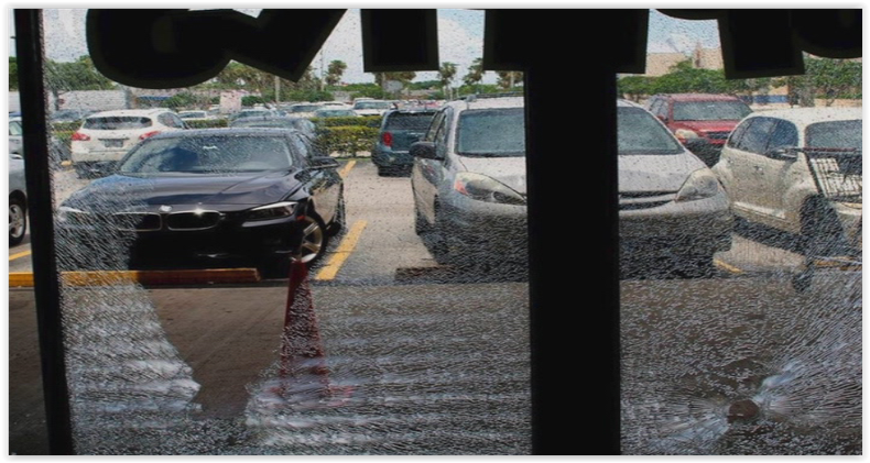 vandalizan tienda de mascotas.PNG