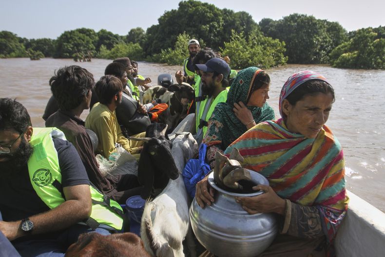 Voluntarios evacúan a vecinos de una zona inundada tras intensas lluvias y desbordamientos en ríos, en Muzaffargarh, Pakistán, el jueves 4 de septiembre de 2025. (AP Foto/Asim Tanveer)